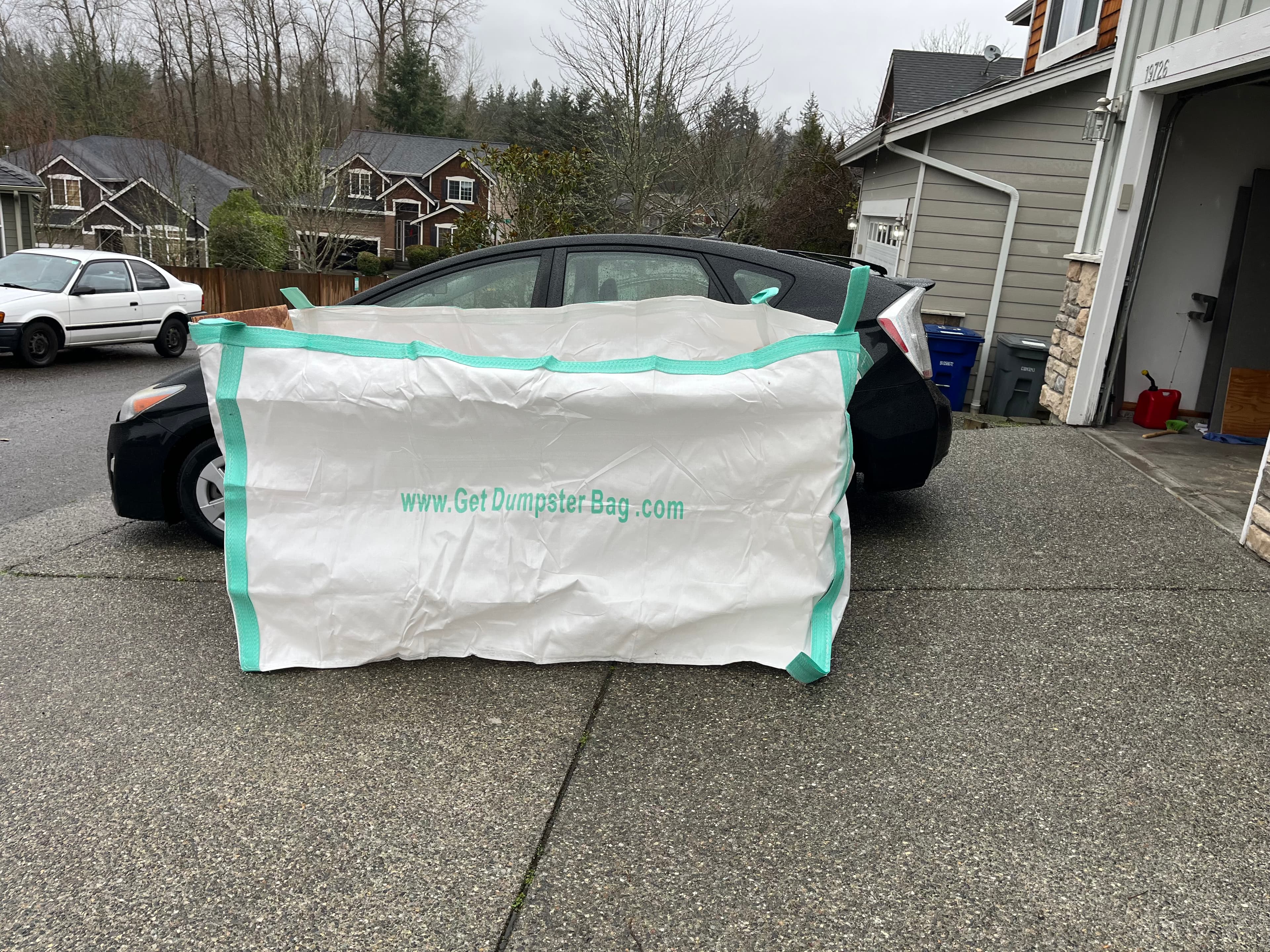 Dumpster bag photo 5